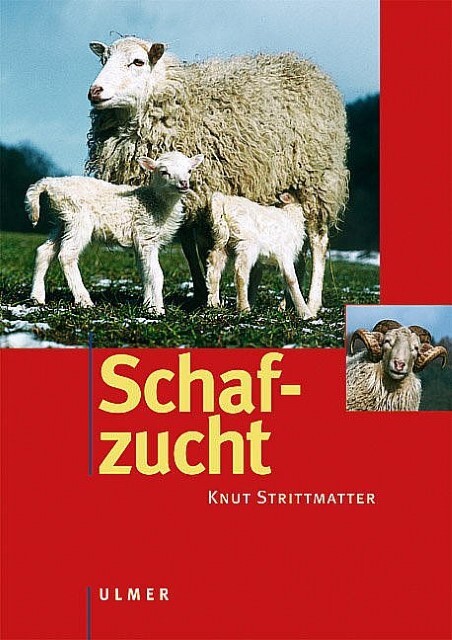 Thumbnail - Schafzucht Knut Strittmatter