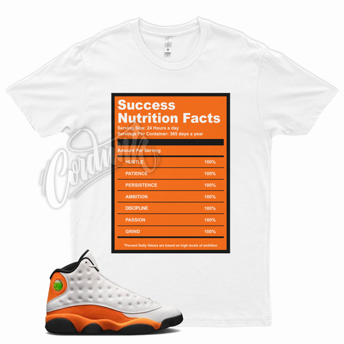 Wht SUCCESS T Shirt for Jordan 13 