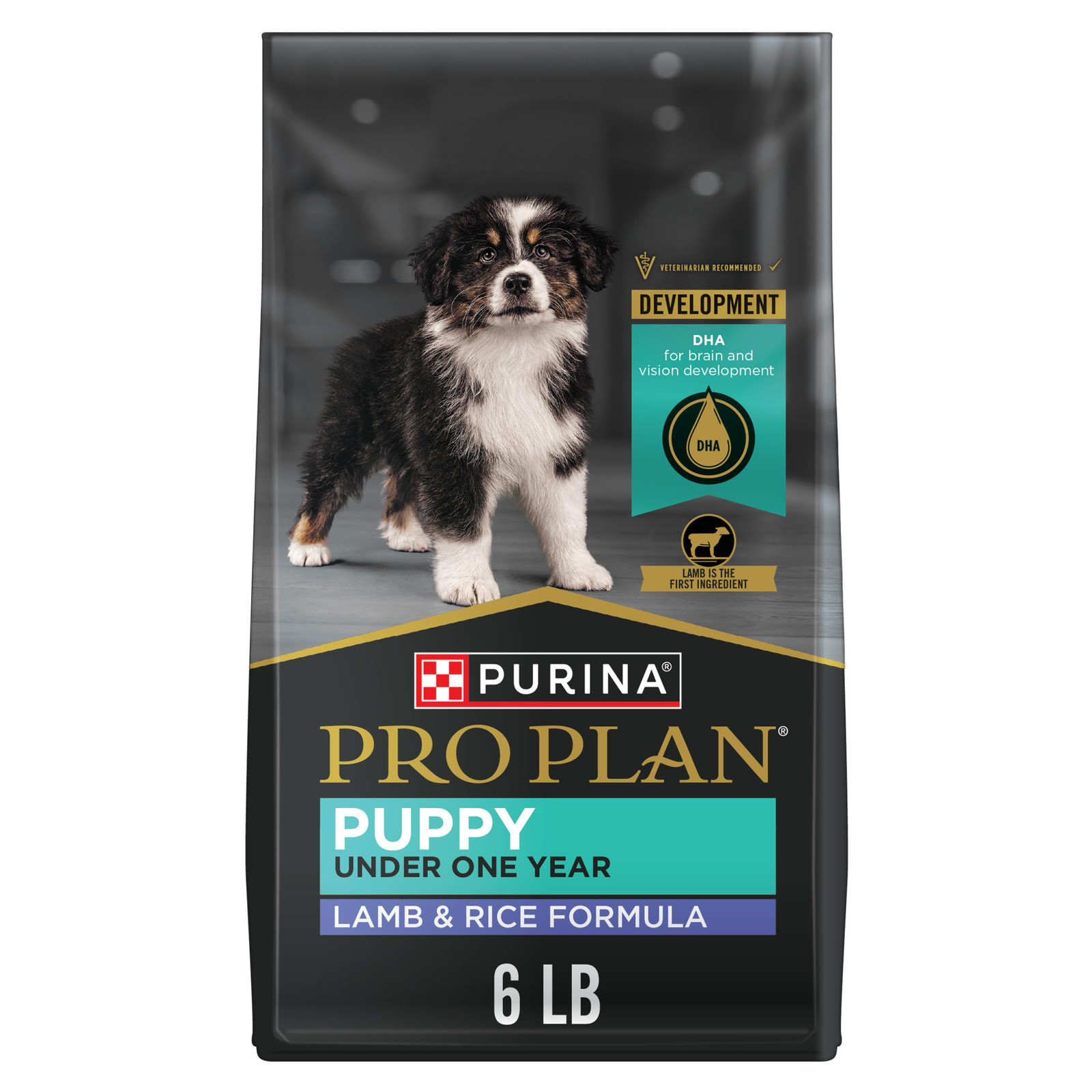 Dha Lamb & Rice Formula - 6 Lb. Bag