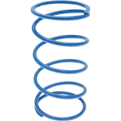 Polini Gegendruckfeder Für Suzuki AN Burgman 400 - 20% Stärker