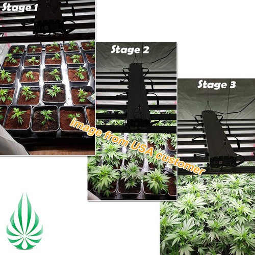 Hydroponics Commercial LED X Grow Light 4FT High PPFD Like Fluence 500W to 1200W - Picture 2 of 9