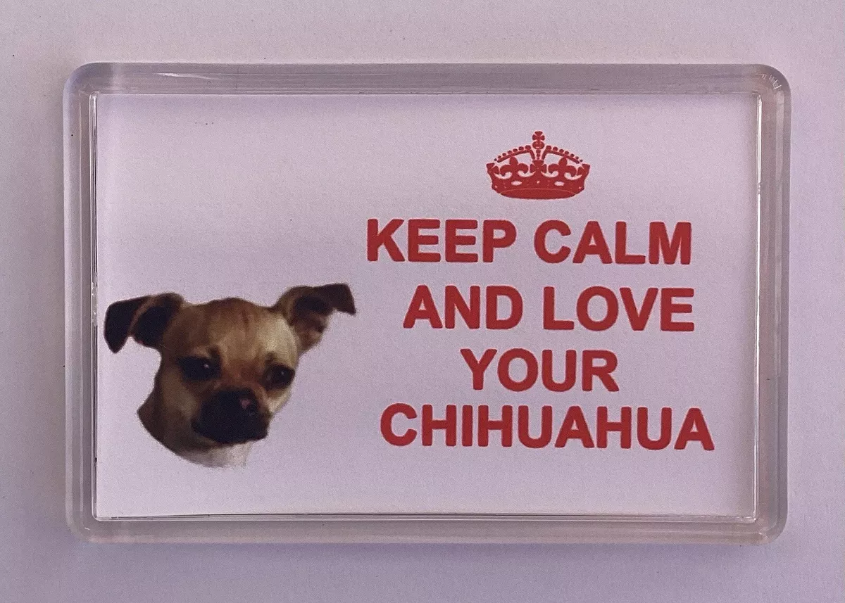 Chihuahua presents top