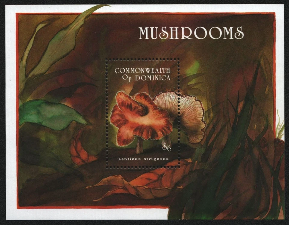 Dominica 1994 - Mi-Nr. Block 261 ** - MNH - Pilze / Mushrooms - Bild 1 von 1