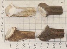 4 1 Elk Antler Dog Chew Treats Crafts
