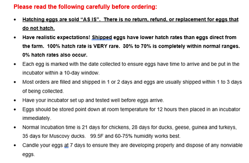 12 Khaki Campbell Duck Hatching Eggs