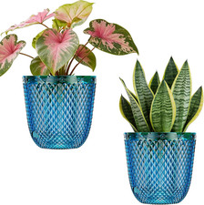 2 Pack Self Watering Pots, 5.7 Inch, with Drainage Holes, Klein Blue Plastic G