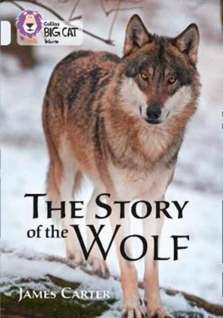 The Story of the Wolf Band 17/Diamond by James Carter (Paperback Book)