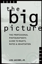Big Picture : The Professional Photographer's Guide to Rights, Ra