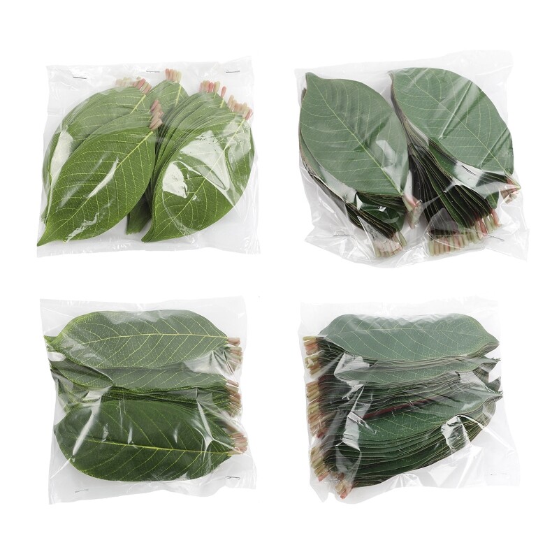 Artificial Magnolia Leaf Picks for Realistic Floral Decor