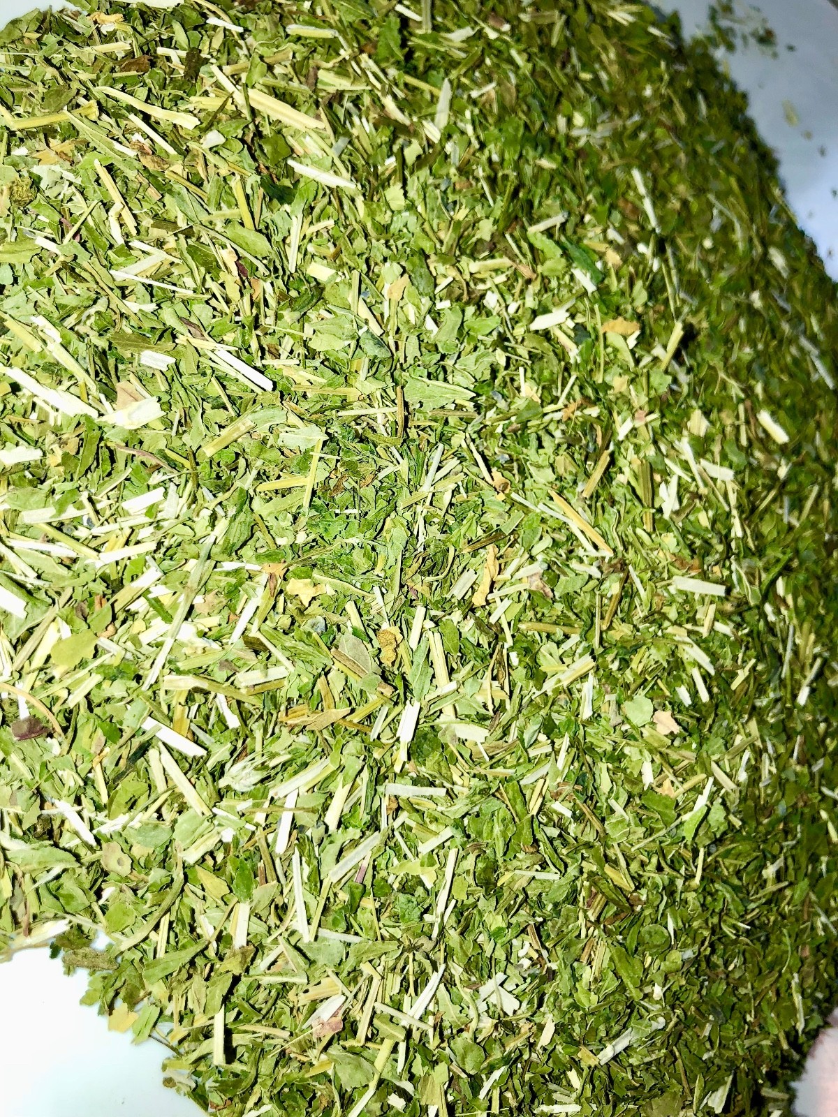 Quality Mad Dog Weed Blue Skullcap Leaf (Certified Organic) eBay