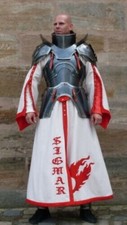 Armor Suit With Cuirass  Puldrons Se 18GA SCA Steel Medieval Half Body Fantasy