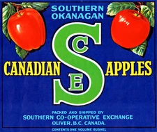 SCE Canadian Apples Original Fruit Crate Label Oliver, B.C. Canada