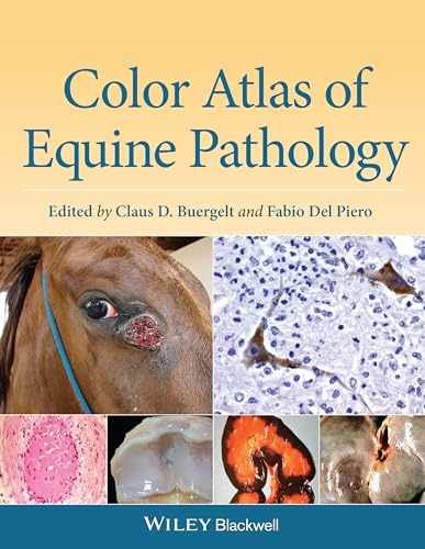 Color Atlas of Equine Pathology - Hardcover, by Buergelt Claus D.; Del - Good