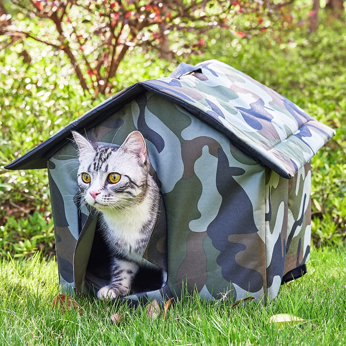 Feral Cat Can An Indoor Cat Go Outside Cat House For Outdoor