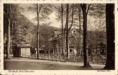Ak Bad Schwartau in Holstein, Waldhalle - 4563901
