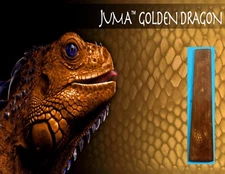 1 Golden Dragon Juma .250" ( 1/4" ) Scale 2" x 12" - Knife Handle Material Blank