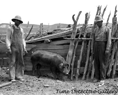 Farmers with a Hog, Box Elder County, Utah - 1940 - Vintage Photo Print