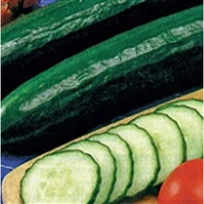 Sweet Slice Cucumbers Seeds (25 Seed Packet) (More Heirloom, Organic, Non GMO, V