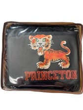 VTZ Rare Pendleton Princeton College Tiger Blanket Team Robes Shawls 57 By 70