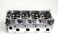 Zylinderkopf AMC 908910 FüR Nissan Navara NP300 D40 Trail 1 T30 Pathfinder 3 R51