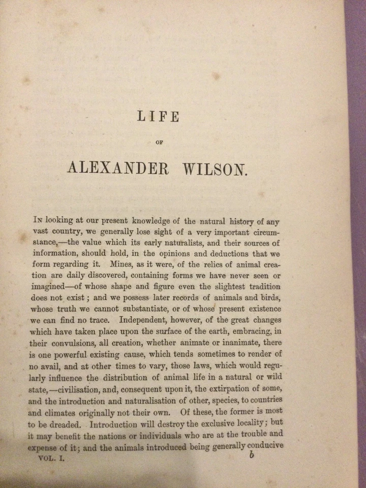 Rare 1876 Alexander Wilson American Ornithology Inspired Audubon - Image 3 of 4