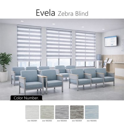 Zebra Blinds Custom Made Light Filtering Roller Shades Anti UV Evela