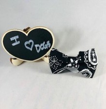 Paisley Bow Tie