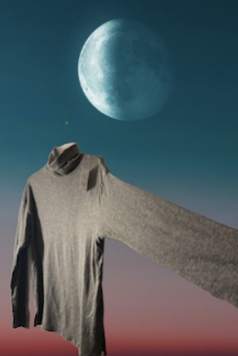 GAP Feather Tee Turtleneck, Size 