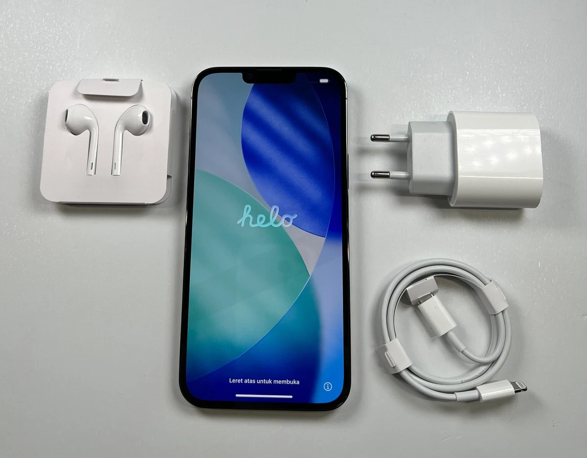 Apple iPhone 13 Pro Max 256GB online kaufen | eBay