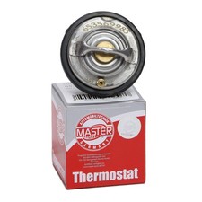 Thermostat Ssangyong RODIUS