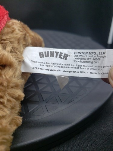 Philadephia Phillies Talking Hoodie Bears Hunter Currently Not Working - Picture 5 of 7