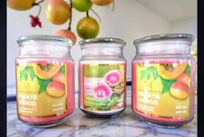 Lot of 3 Modern Expressions Large Jar Candles – Papaya Mango & Guava Mandarin – 