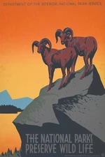 NATIONAL PARKS VINTAGE STYLE PRINT/POSTER QUALITY PHOTO PAPER/CANVAS T30