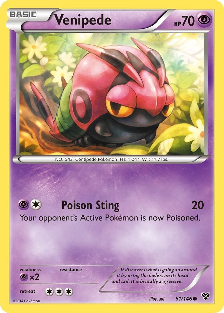 Venipede - [XY - 51/146] - MP - XY Base Set - Pokemon