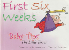 First Six Weeks Baby Tips The Little Terror By Charlotte Preston Very Good