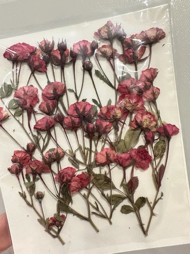 Dried Pressed Flowers Natural Epoxy Resin Candle Nail Art Scrapbooking Craft AU - Picture 132 of 210