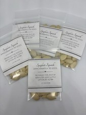 Spaghetti Squash Seeds-30 Count