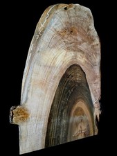 XXL INSANELY Curly AMBROSIA Maple BLANK, Curly Maple, TURNING WOOD, Live Edge