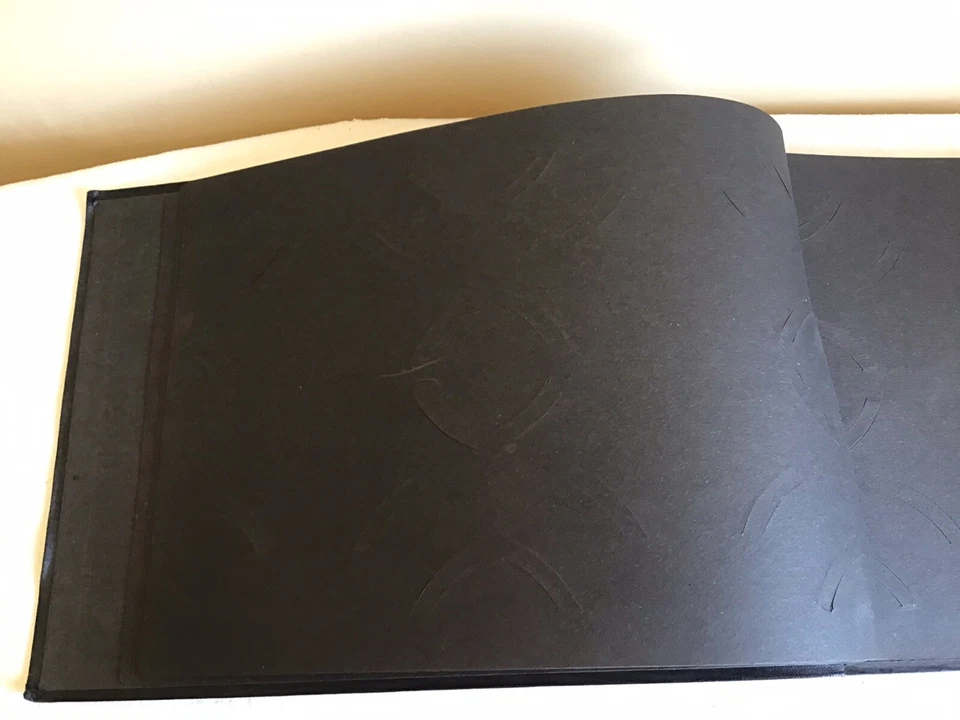 老式黑色镀金纪念品卡剪贴簿专辑空白床单脆弱 — 第 3/4 张图片