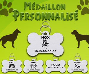 Détails Sur Médaillon Personnalisé Pour Chien Et Chat En Aluminium Nom Race Téléphone