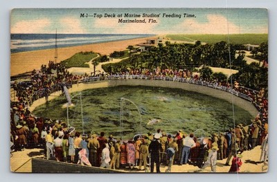 Vintage Linen Postcard Top Deck Marine Studios Feeding Time Marineland FL