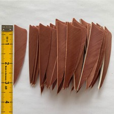 50PCS 3inch Brown Shield Fletches Feathers Fletching Vanes RW LW