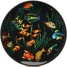 Remo Ocean Drum 16 Fish Graphic