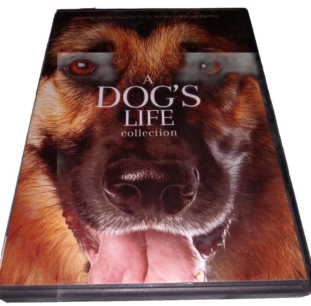 diamond dogs 10 TEN STEPS　DVD diamond dogs 10 TEN STEPS DVD Diamond Dogs (DVD, 2007) for