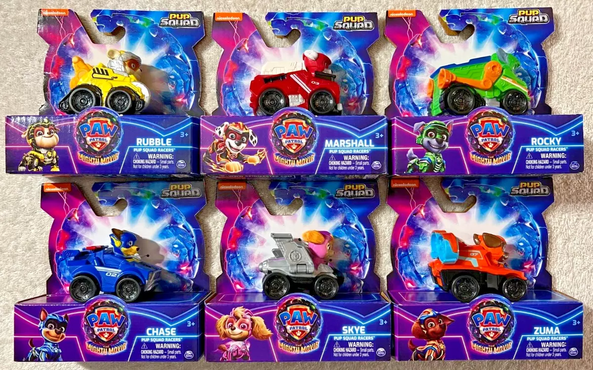 Paw patrol pup racers top