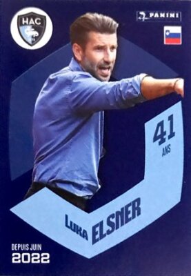 10 vignettes panini foot 2024 ligue 1 au choix