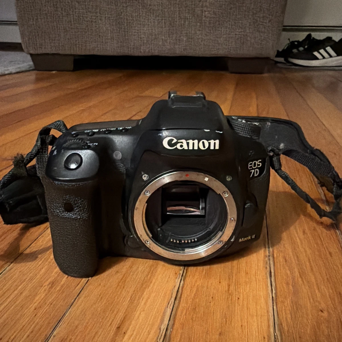 25+ Canon EOS 7D Mark II Digital Cameras for sale | Updated Oct 2026