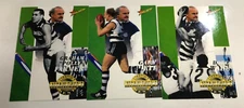1995 Select AFL Trading Card Series 2 Jezza's Choice-Lifetime Best-Geelong (3)