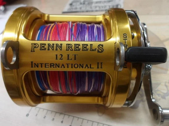 Penn International 12lt for sale | eBay