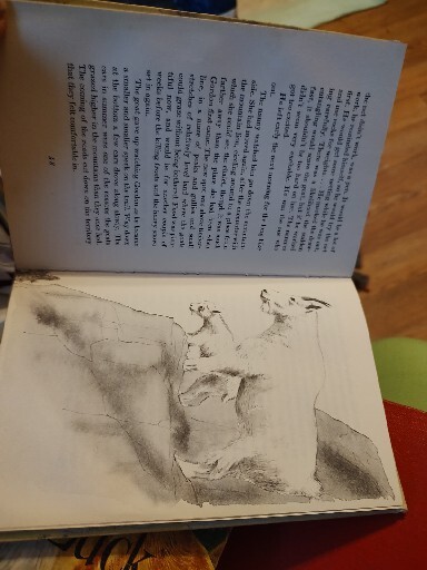 Picture 8 of 10